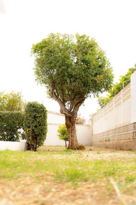 Villa Casa Voramar En Denia A 300M De La Playa Esterno foto
